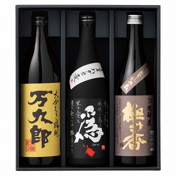 gLnIWi Fs Ē툳l (AYJ-3)